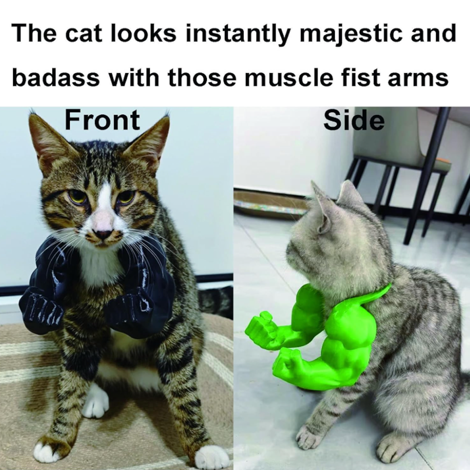 3D Printed Giant Muscle Arm – Funny Cat Party Prop (Pack of 36) Multi Color - Image 4
