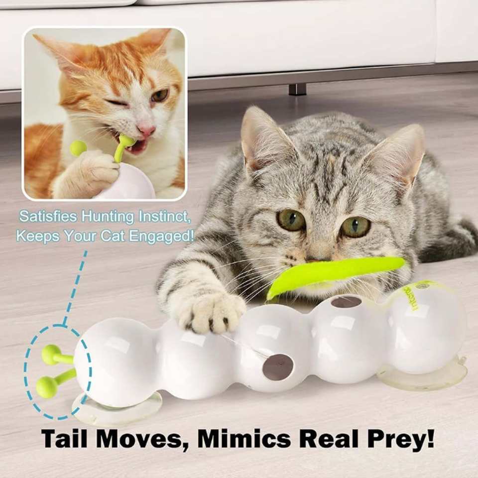 Electric Caterpillar Cat Toy with Feather Tail (5 Multi Color Feather in 1 Box) - Image 5